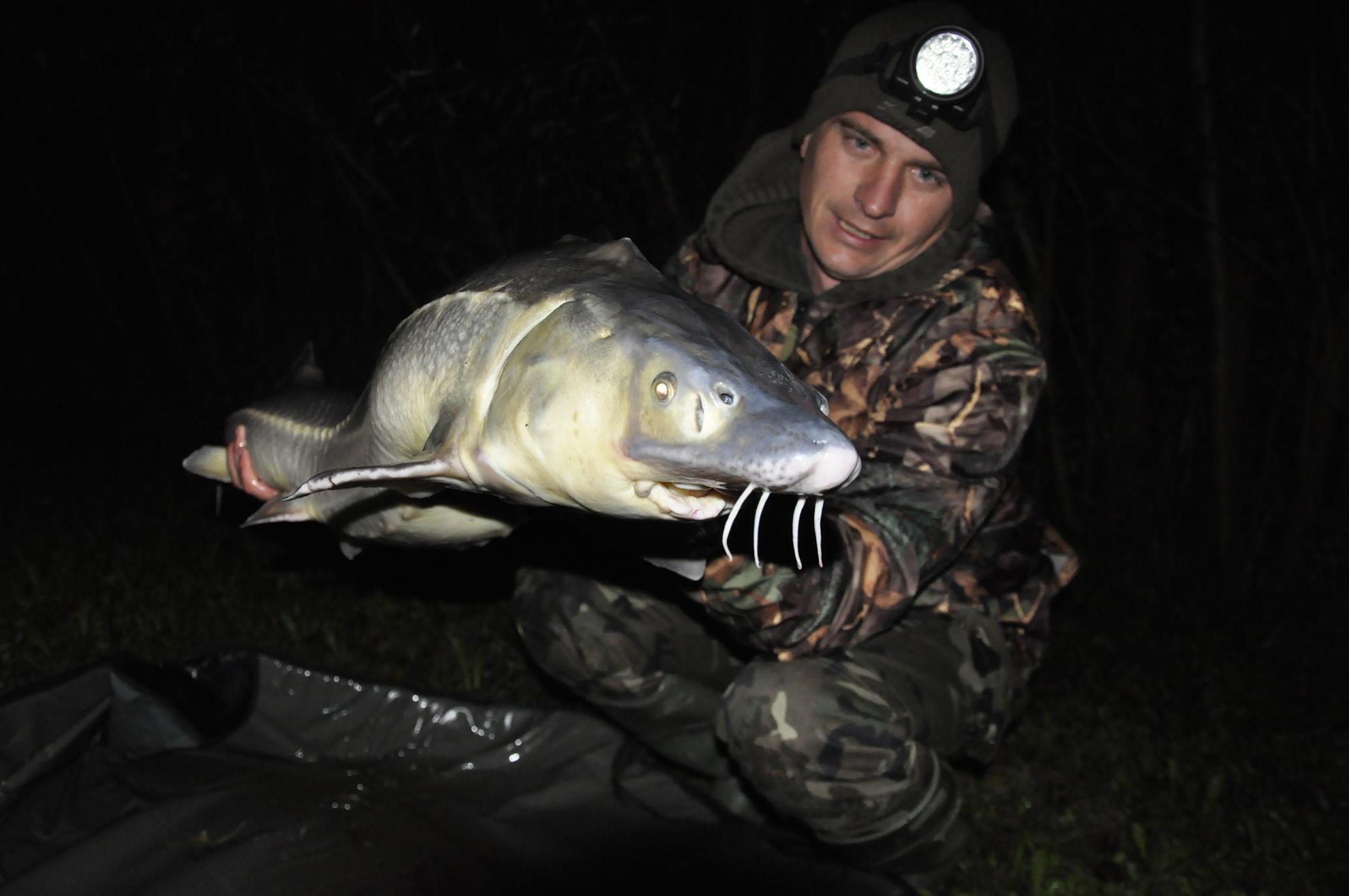 CARP FISHING...... - dsc0124.JPG